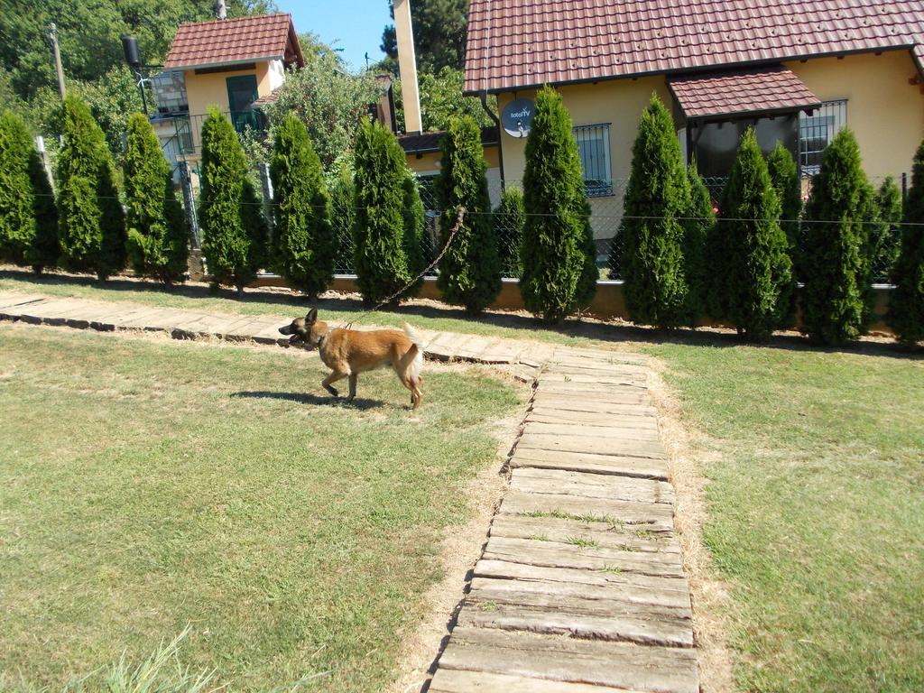 Kuca Za Odmor "Karalic" Bed and Breakfast Ležimir Buitenkant foto